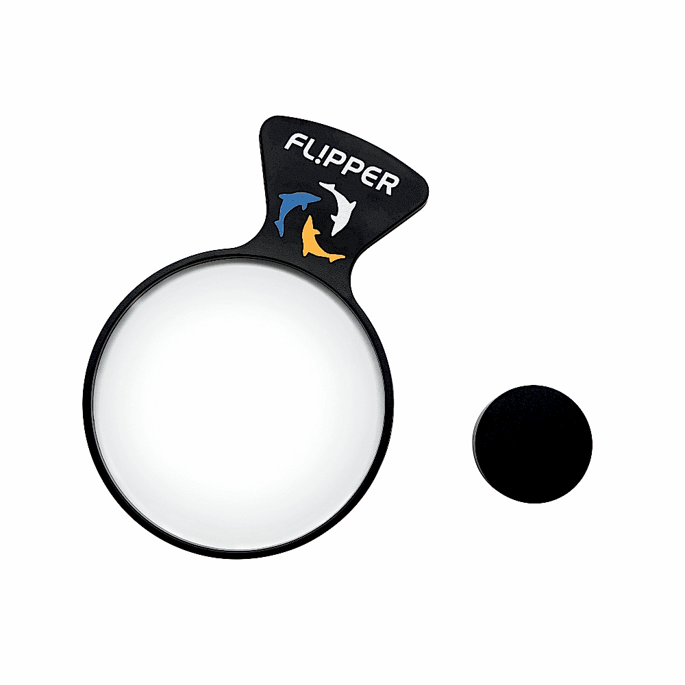 FLİPPER - Deepsee Viewer 4''