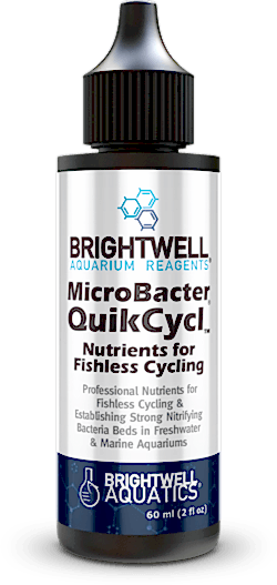 BRIGHTWELL - Microbacter Quickly 60 ml
