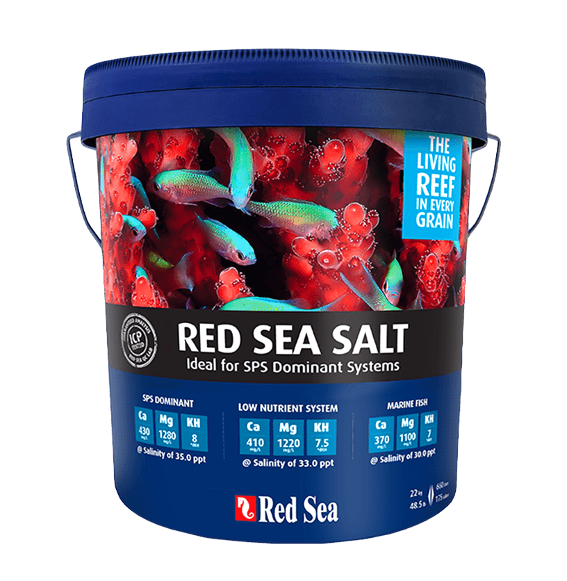 Red Sea Salt 7kg