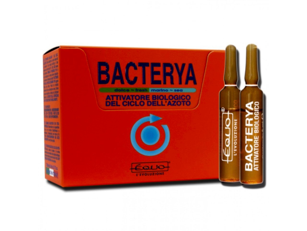 Bacterya- 24