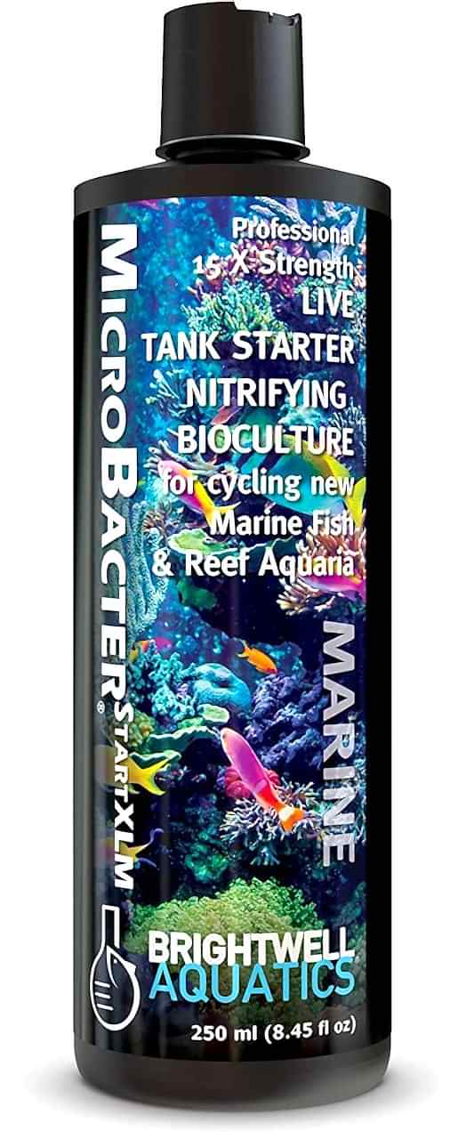 BRIGHTWELL - MicrōBacterSTARTXLM Pro x15 250 ml