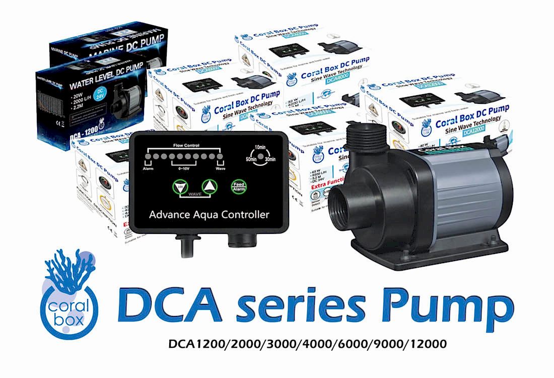 Coral Box - DCA 9000