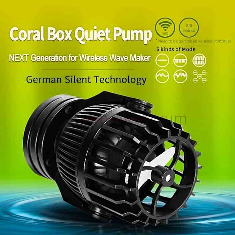 Coral Box - QPS 9