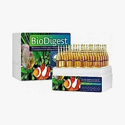 PRODIBIO - Biodigest 12 ampül