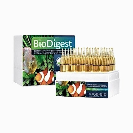 PRODIBIO - Biodigest 30 ampül