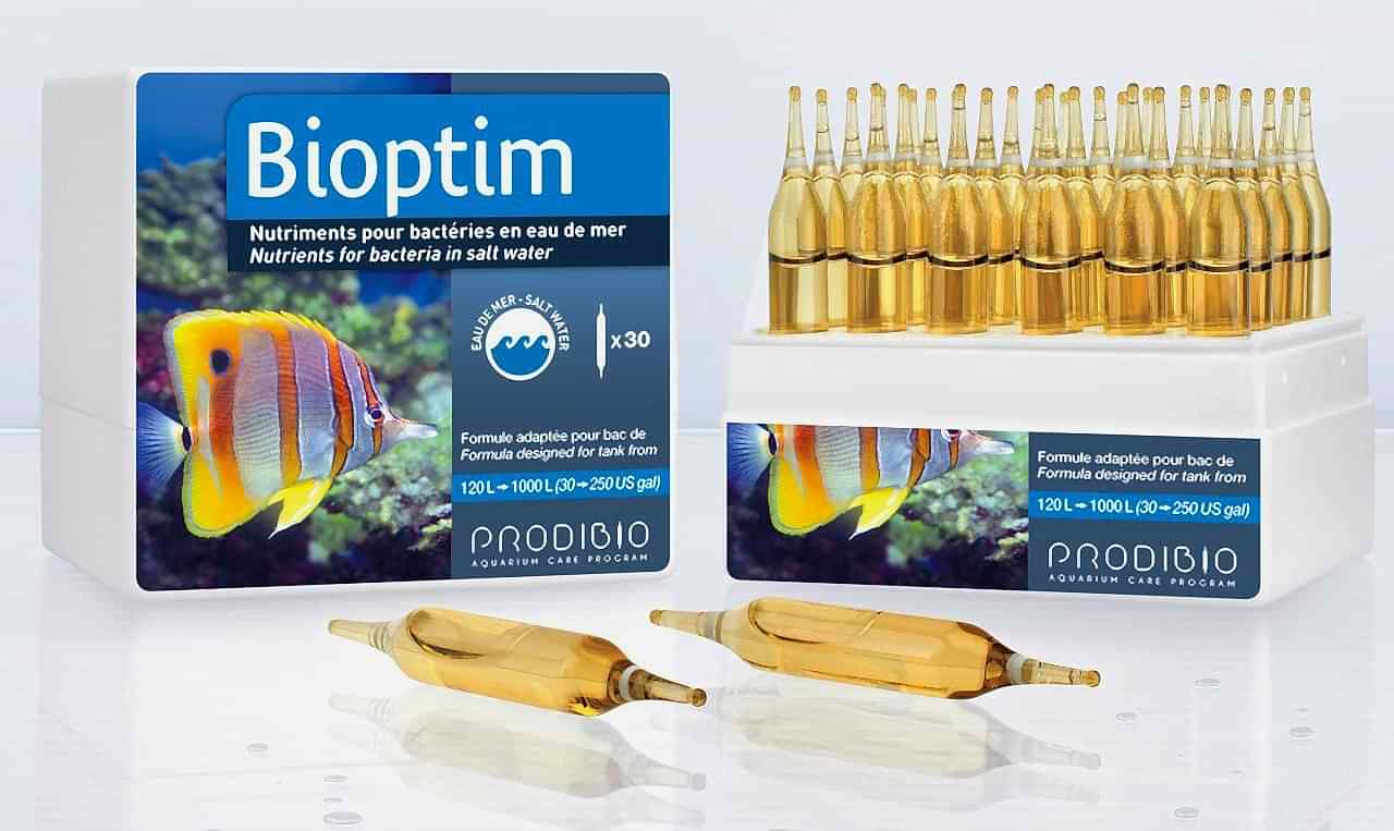 PRODIBIO - Bioptim 12 ampül