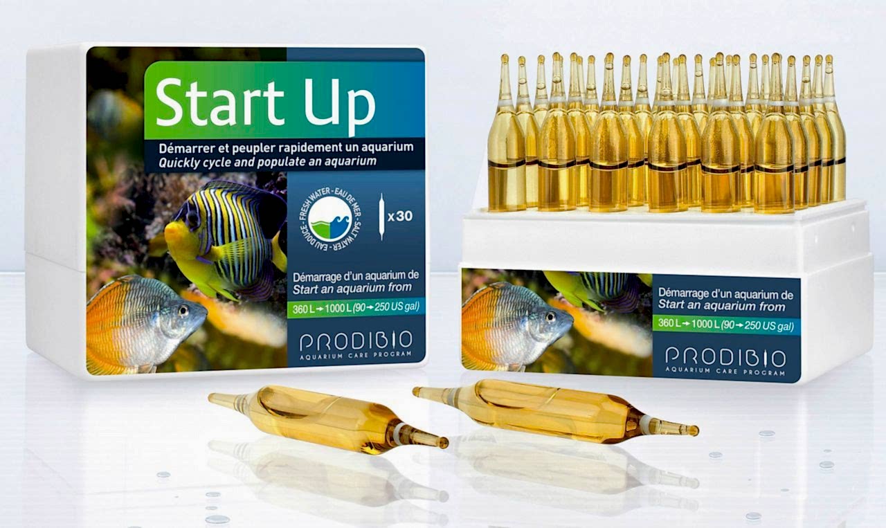 PRODIBIO - Start Up 12 Ampül