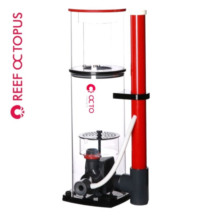 REEF OCTOPUS - Classic 150s