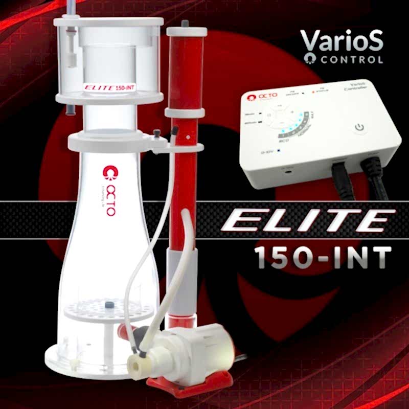 REEF OCTOPUS - Elite 150 Int