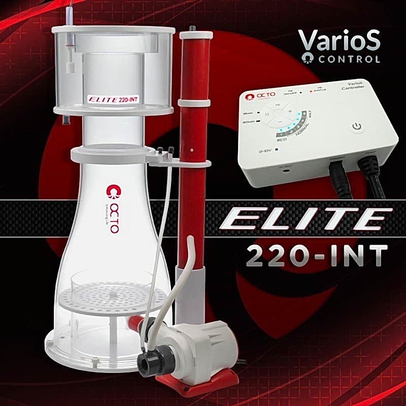 REEF OCTOPUS - Elite 220 Int