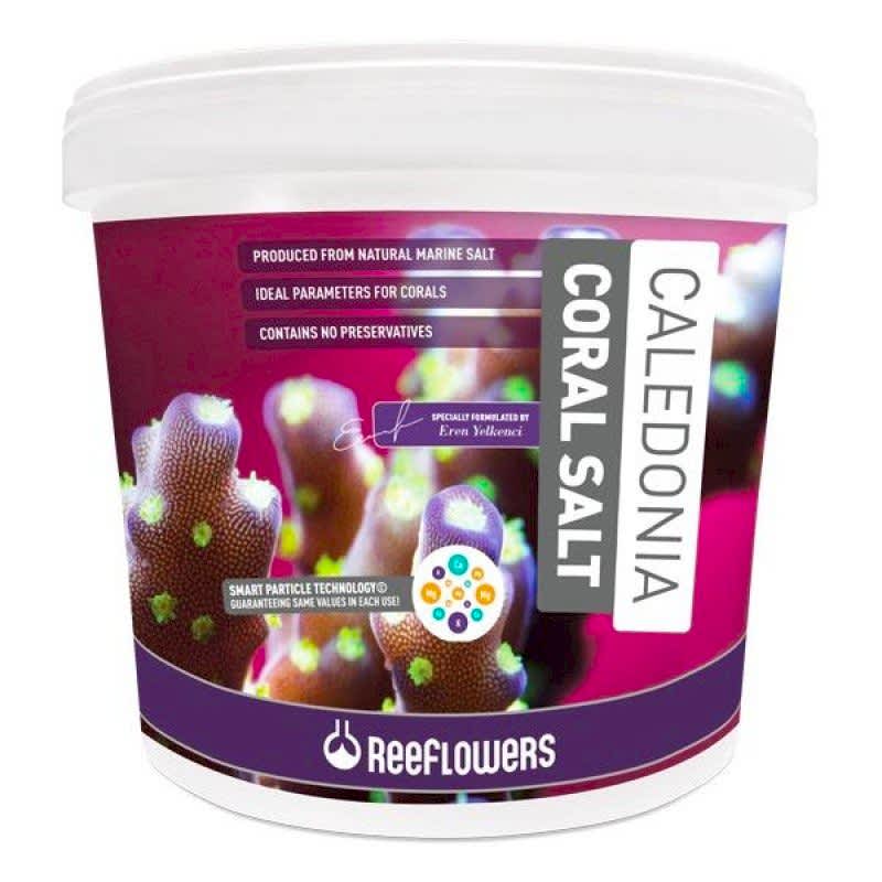 REEFLOWERS - Caledonia Coral Salt 6,5 kg